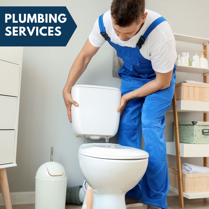 Plumbing Company in Miramar Beach, FL
